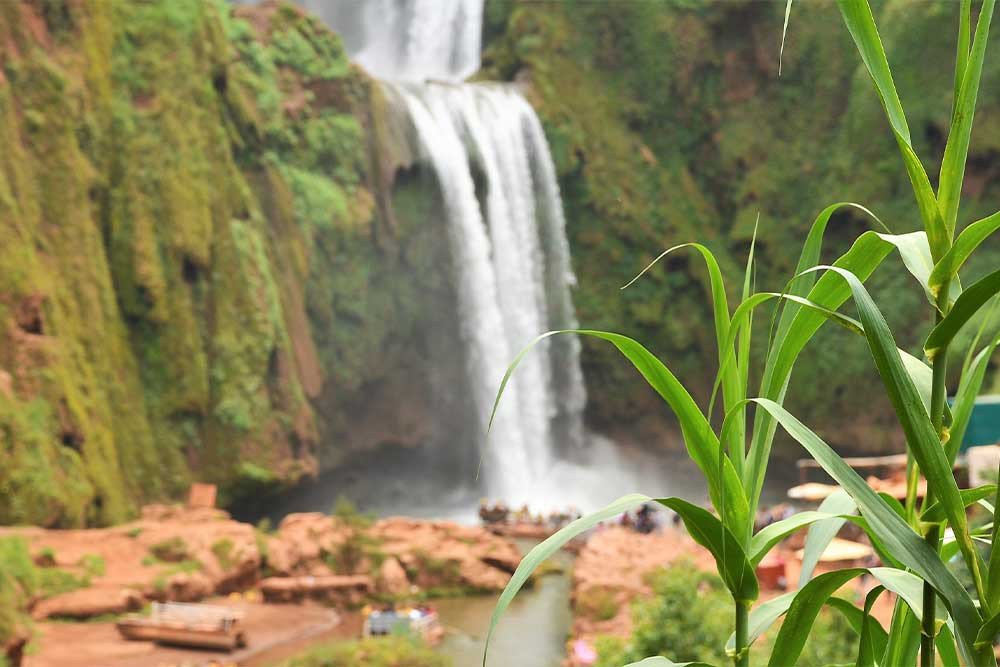 Ouzoud waterfalls day Trip from Marrakech
